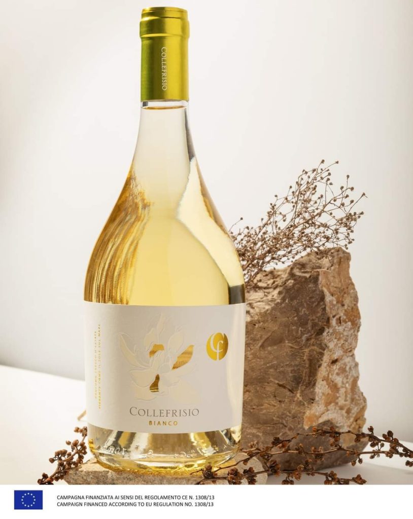 Rượu Vang Magnolia Bianco IGT Terre di Chieti 2020 – Collefrisio