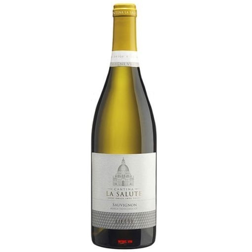 Rượu Vang Catina La Salute Sauvignon