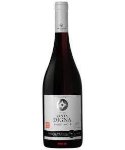 Rượu Vang Chile Santa Digna Reserva Pinot Noir