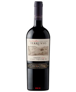 Rượu Vang Concha Y Toro Terrunyo Carmenere Block 27