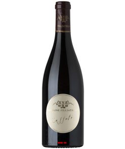 Rượu Vang Pháp Domaine Filliatreau L'Affutee Saumur Champigny