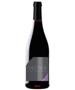 Rượu Vang Privilege Pinot Noir