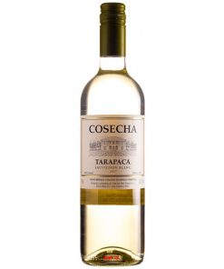 Rượu Vang Tarapaca Cosecha Sauvignon Blanc