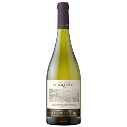 Rượu Vang Terrunyo Sauvignon Blanc Block 5