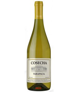 Rượu Vang Trắng Tarapaca Cosecha Chardonnay