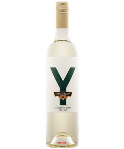 Rượu Vang Y Reserva Sauvignon Blanc