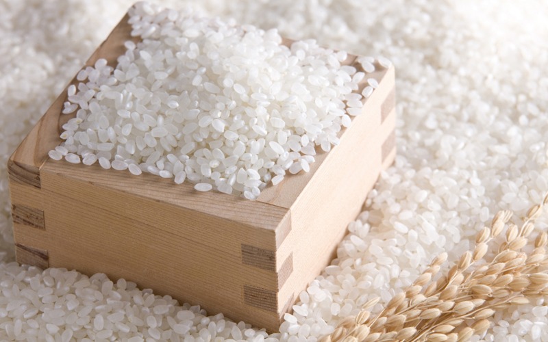 Gạo để sản xuất rượu Sake