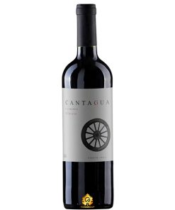 Rượu Vang Cantagua Carmenere