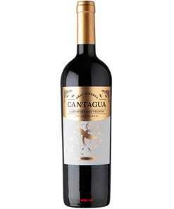 Rượu Vang Cantagua Gran Reserva Cabernet Sauvignon