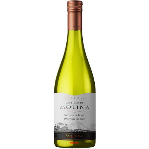 Rượu Vang Castillo De Molina Reserva Sauvignon Blanc