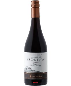 Rượu Vang Castillo De Molina Reserva Shiraz