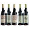 Rượu Vang Domini Veneti Amarone Collection (Bộ 5 Chai)