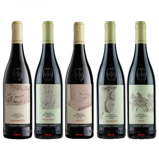 Rượu Vang Domini Veneti Amarone Collection (Bộ 5 Chai)