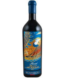 Rượu Vang Montigoli Parrot Amarone Della Valpolicella