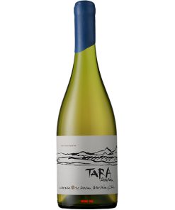 Rượu Vang Tara Atacama Chardonnay