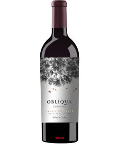 Rượu Vang Ventisquero Obliqua Carmenere