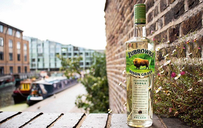 zubrowka vodka sanhruou