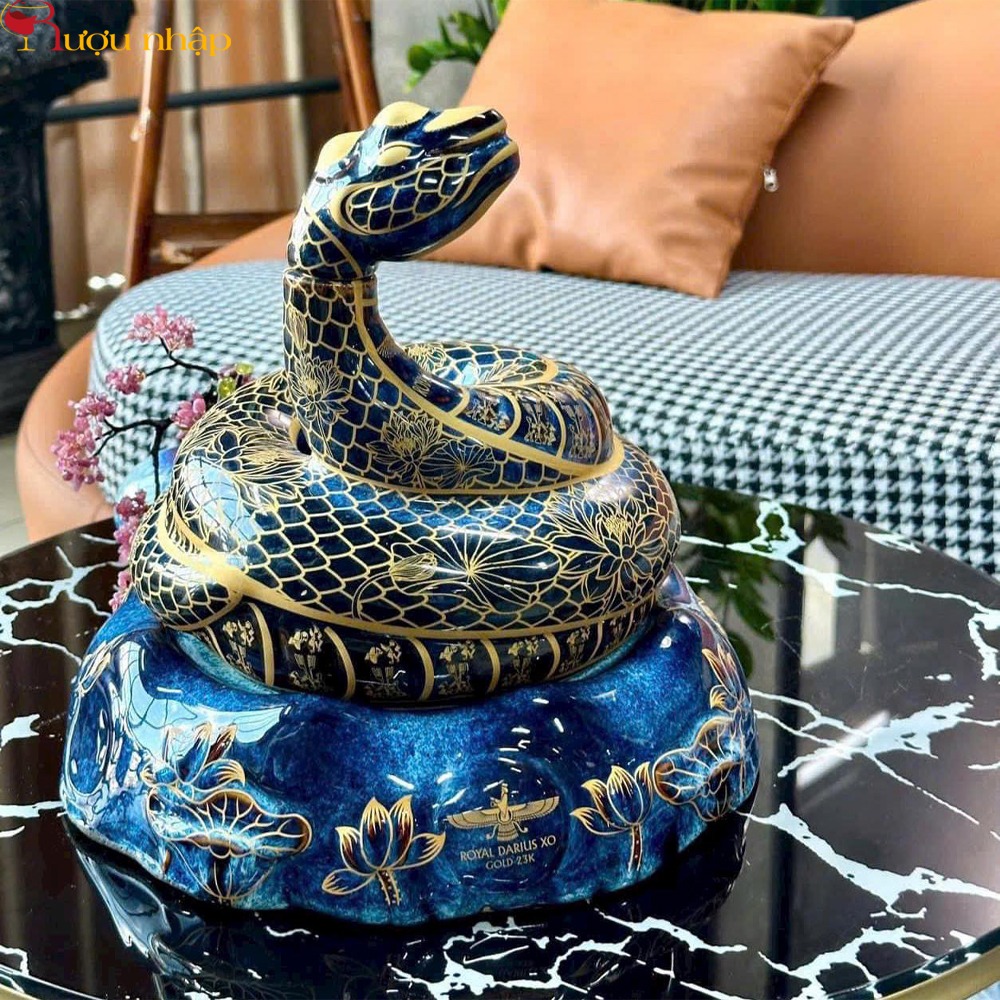 Rắn Vàng Doha Royal Darius XO Rắn Vàng Doha Royal VIP Darius XO 2025