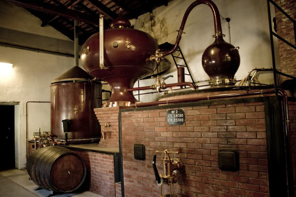 Quy trình sản xuất rượu Brandy đạt tiêu chuẩn và chi tiết