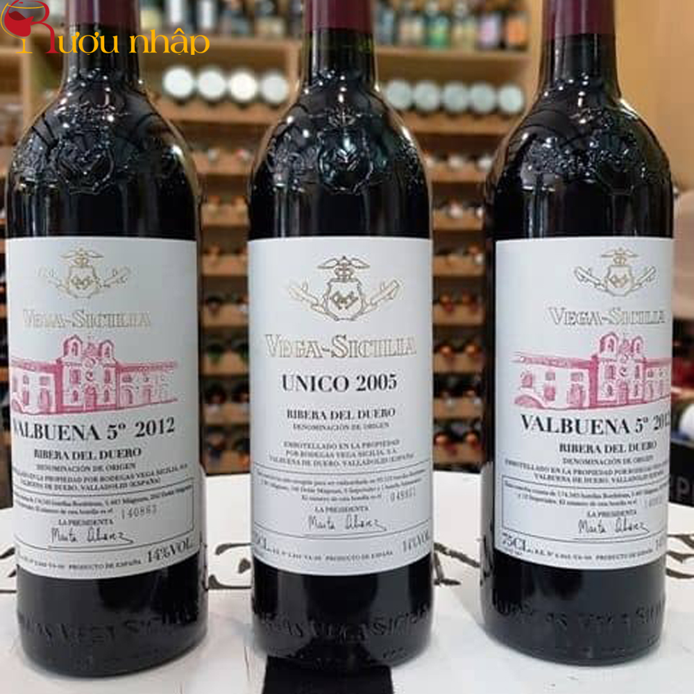 Rượu Vang Tây Ban Nha VEGA SICILIA UNICO 2005 Hảo hạng