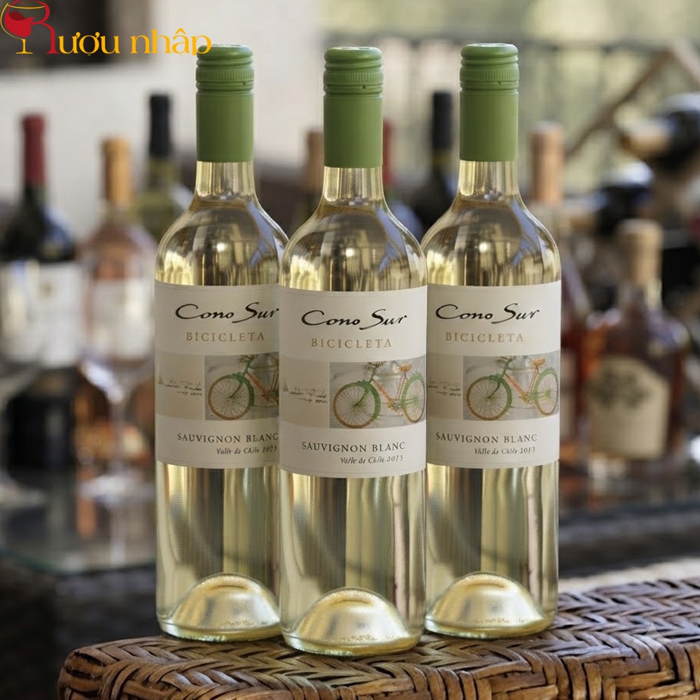 Rượu Vang Trắng Cono Sur Bicicleta Sauvignon Blanc