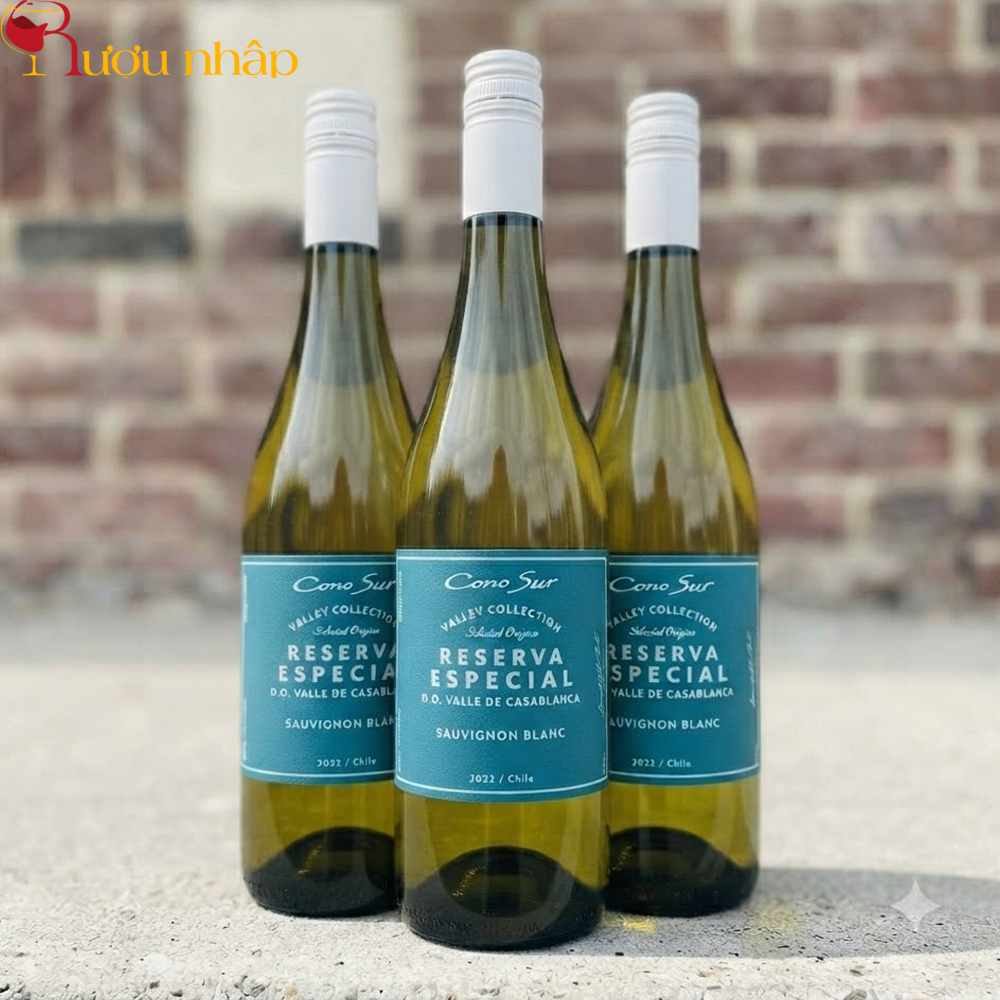 Rượu Vang Trắng Cono Sur Reserva Especial Sauvignon Blanco