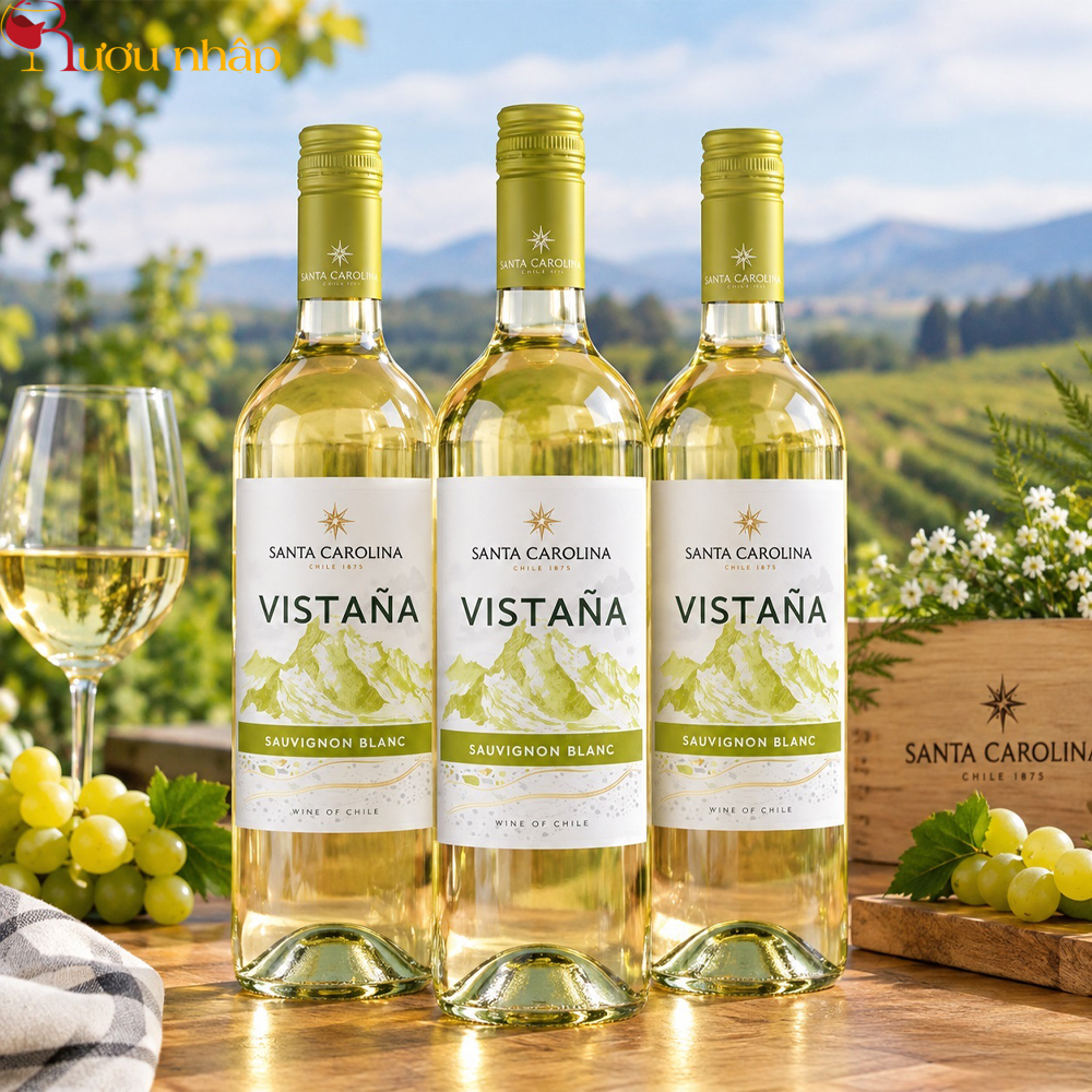 Rượu Vang Trắng Santa Carolina Vistana Sauvignon Blanc