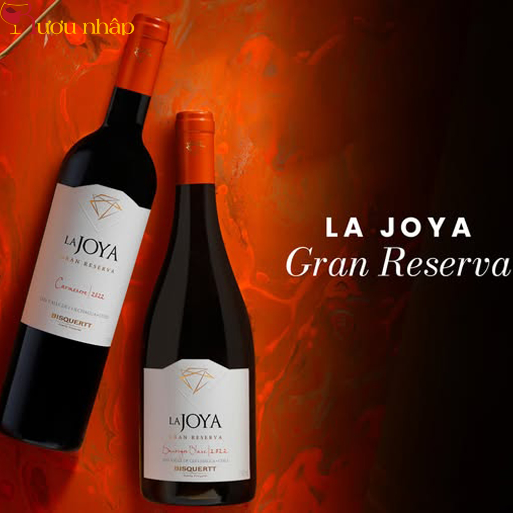 Vang Bisquertt La Joya Gran Reserva Pinot Noir