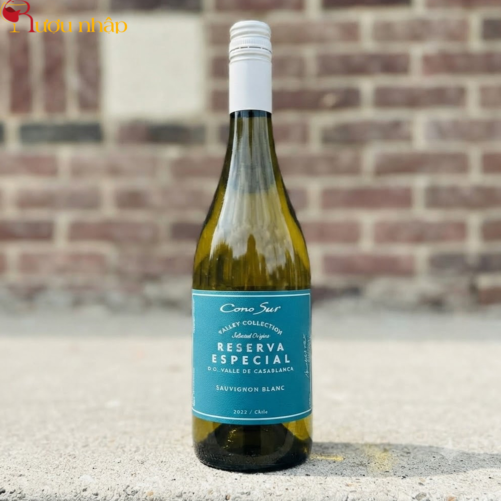 Vang Cono Sur Reserva Especial Sauvignon Blanc