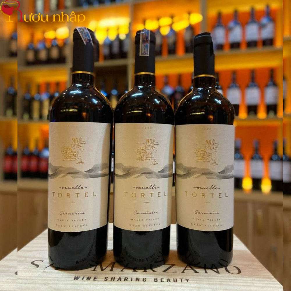 Vang Muelle Tortel Reserva Syrah Chính Hãng
