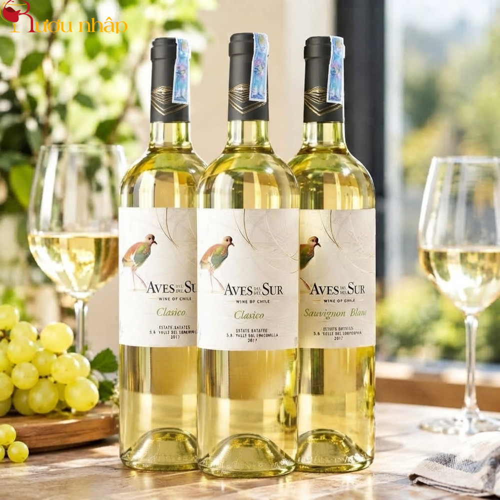 Vang trắng Aves Del Sur Clasico Sauvignon Blanc