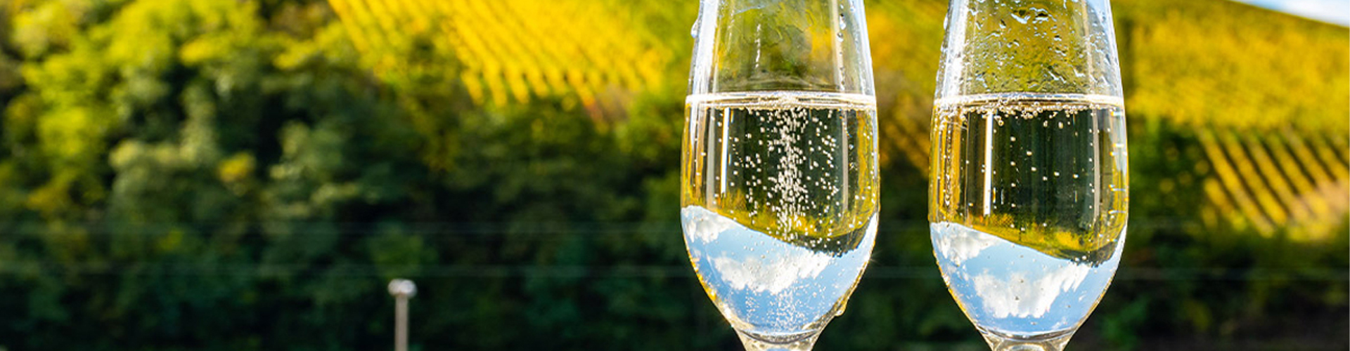 Vang nổ Sparkling Wine