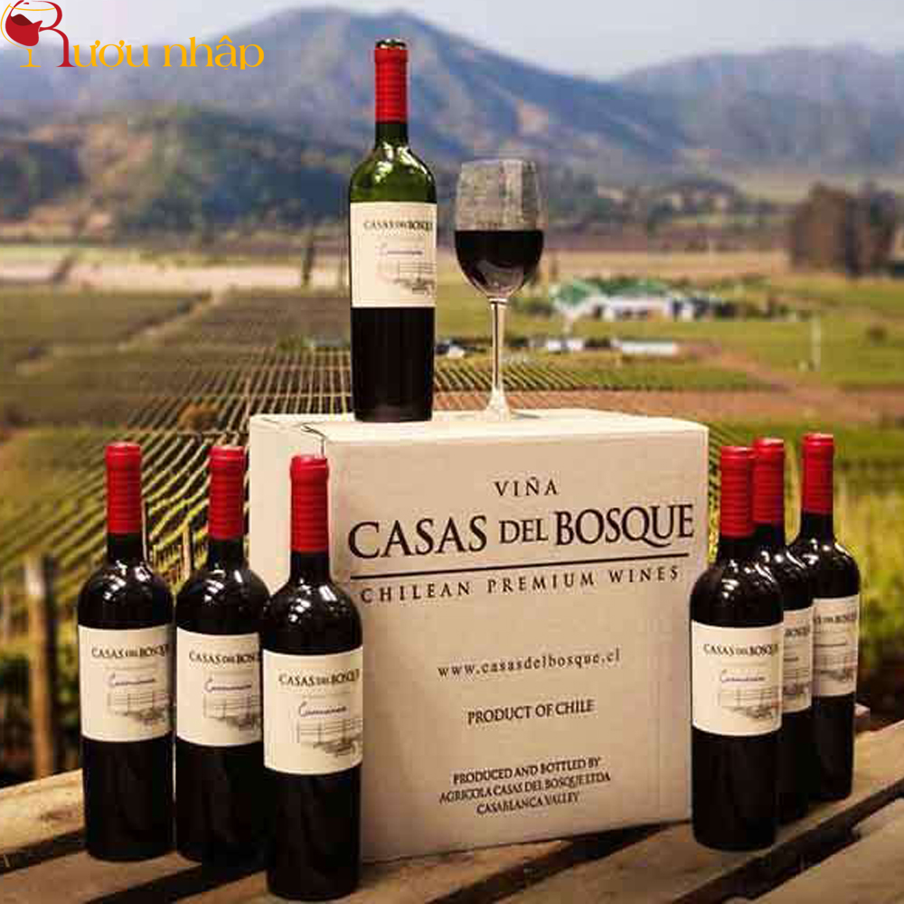 Rượu vang Chile nhập khẩu chính hãng