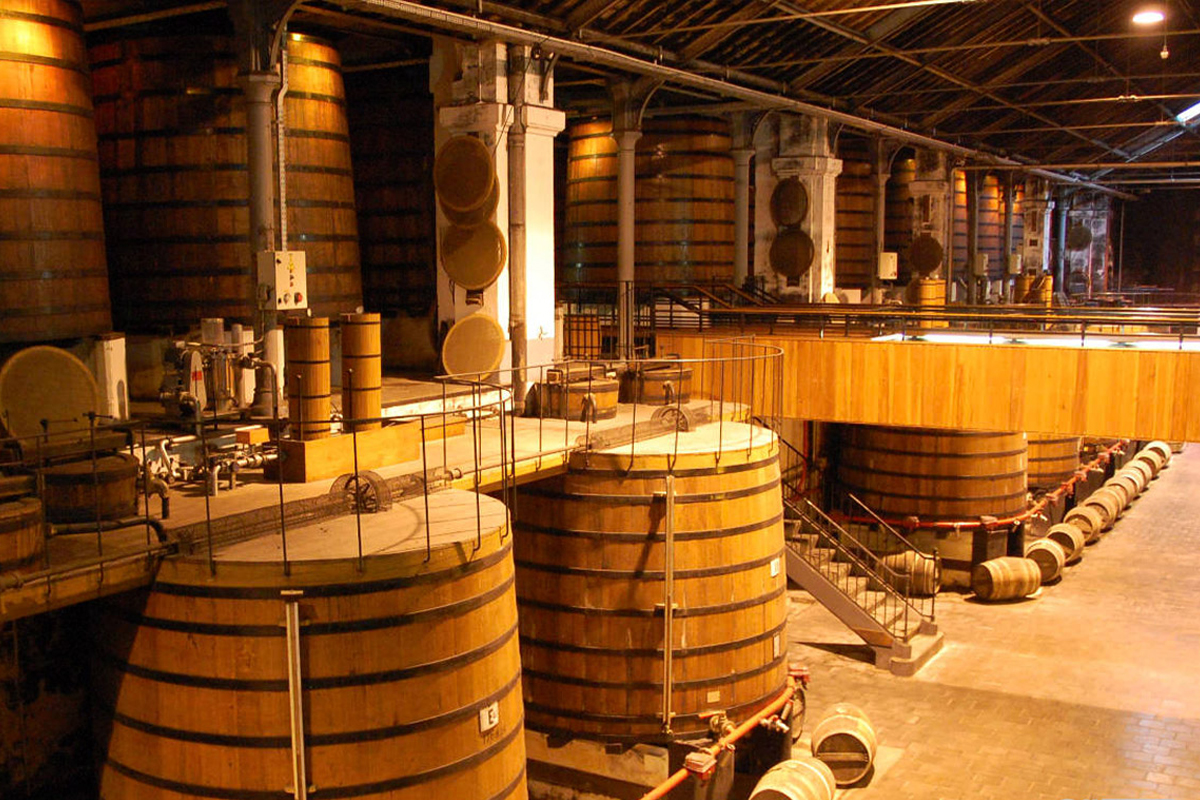 Quy trình sản xuất rượu Cognac