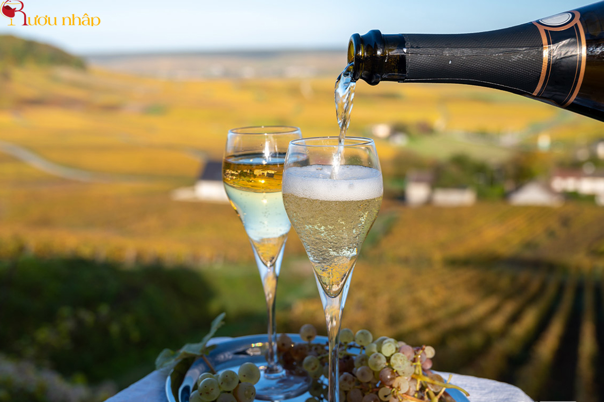 Cách chọn rượu Champagne