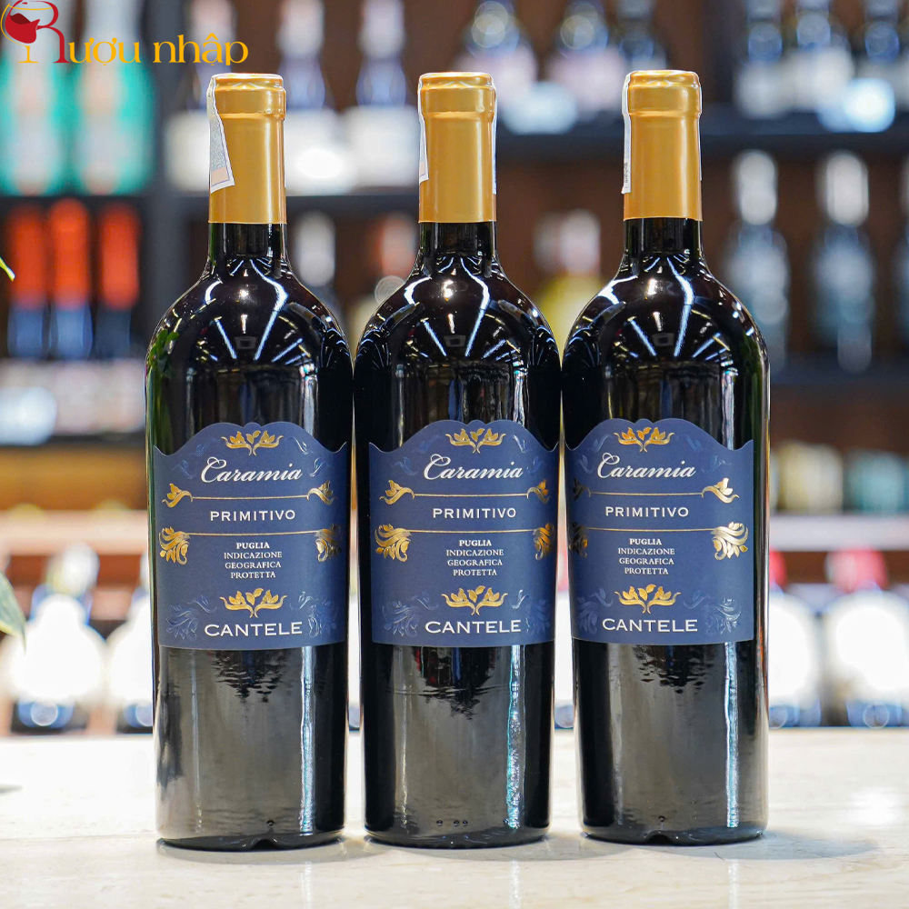 Rượu Vang Caramia Primitivo Puglia IGP